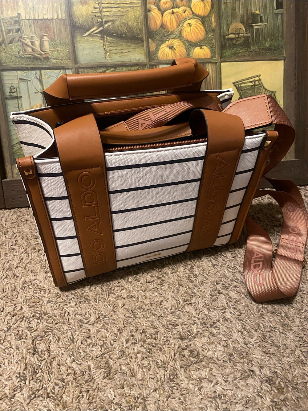 Aldo handbag